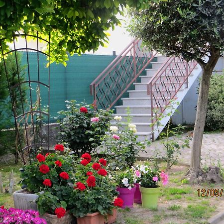 Bed and Breakfast 5 Palme Terzo d' Aquileia Exterior foto