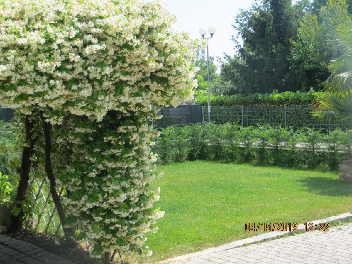 Bed and Breakfast 5 Palme Terzo d' Aquileia Exterior foto