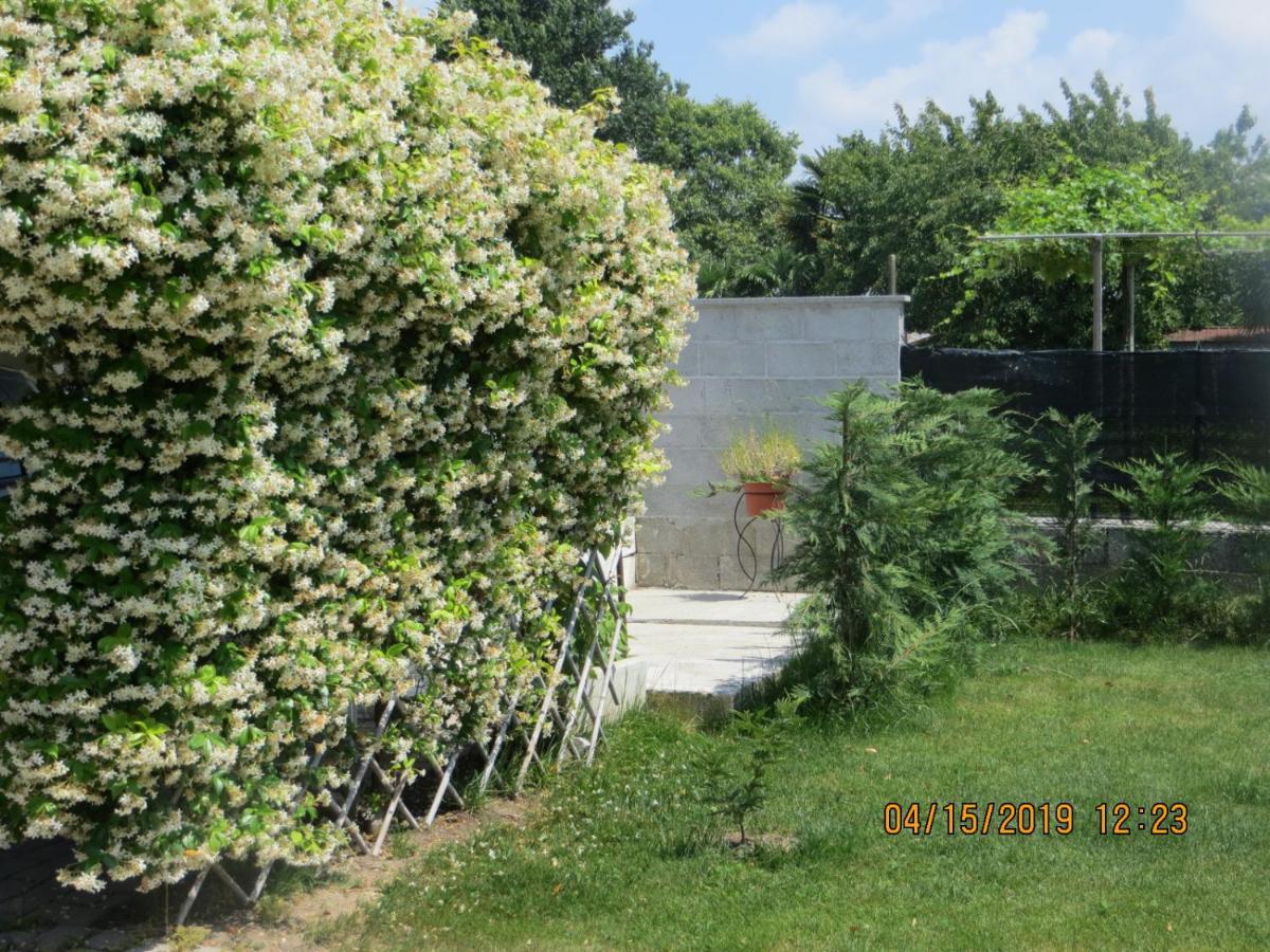 Bed and Breakfast 5 Palme Terzo d' Aquileia Exterior foto