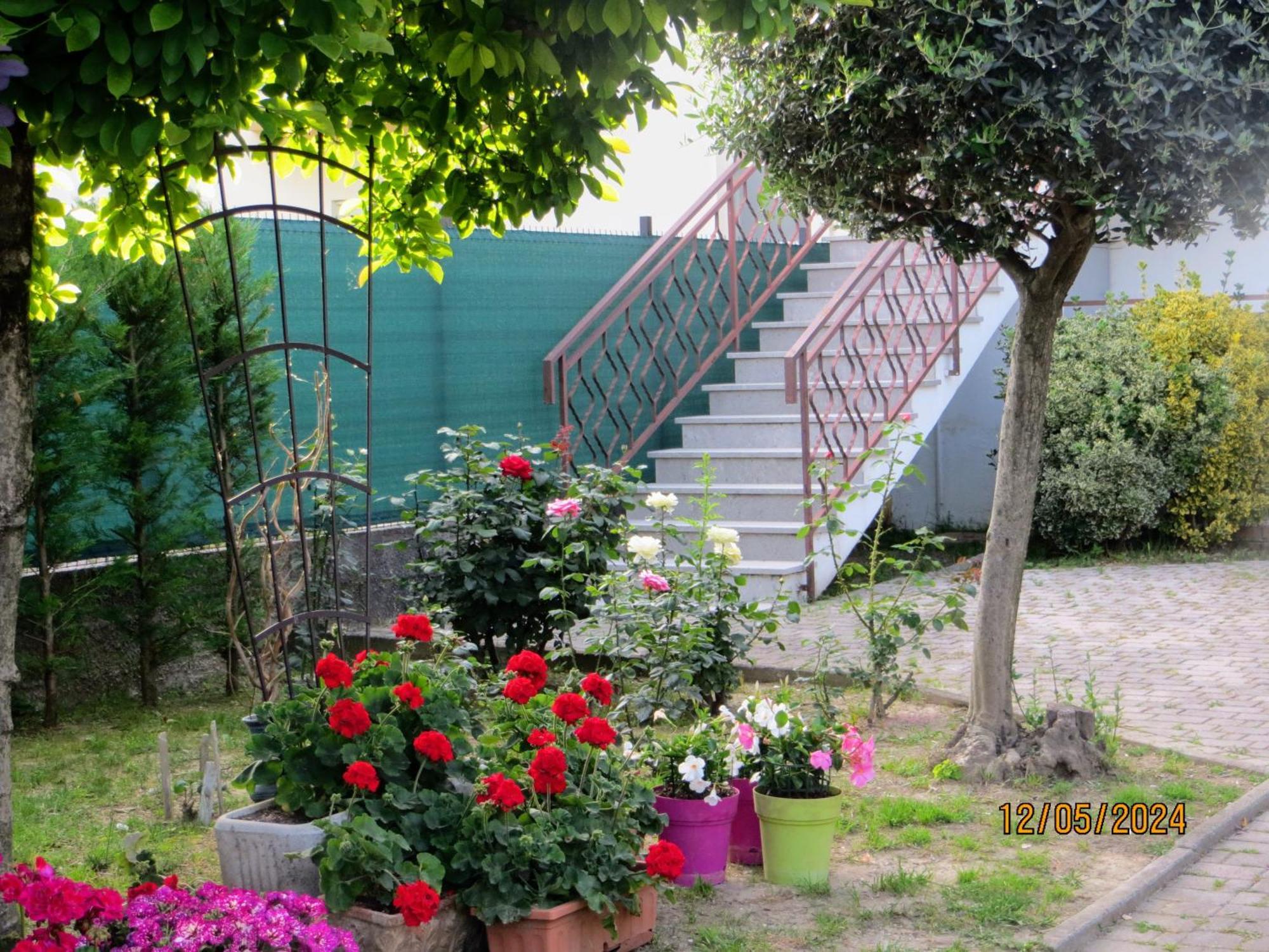 Bed and Breakfast 5 Palme Terzo d' Aquileia Exterior foto