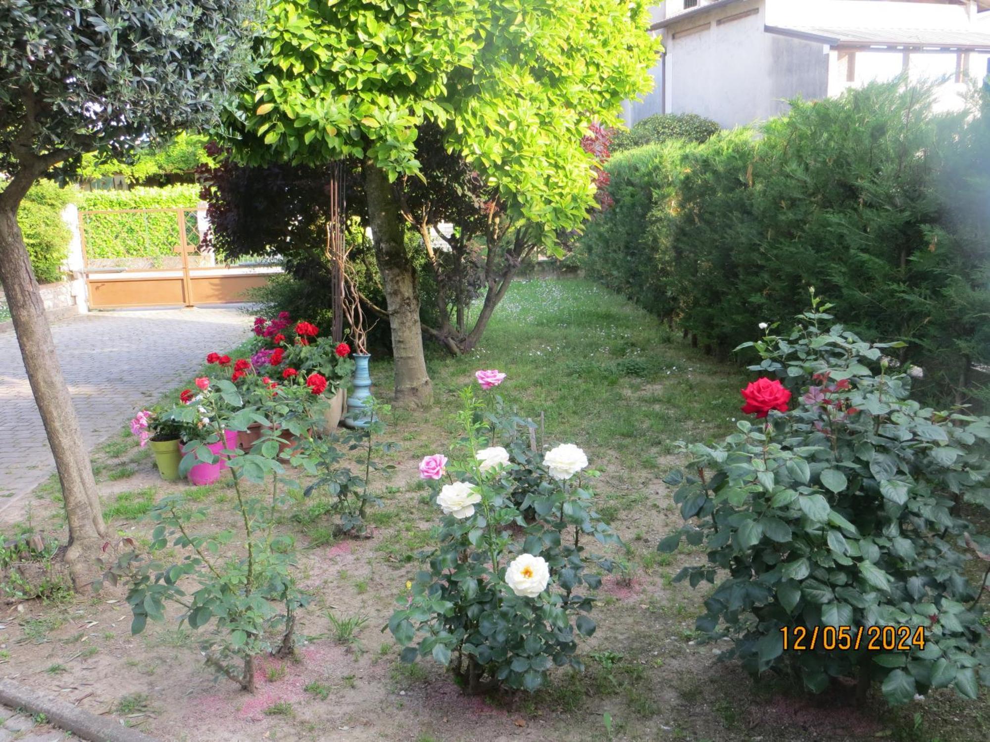 Bed and Breakfast 5 Palme Terzo d' Aquileia Exterior foto