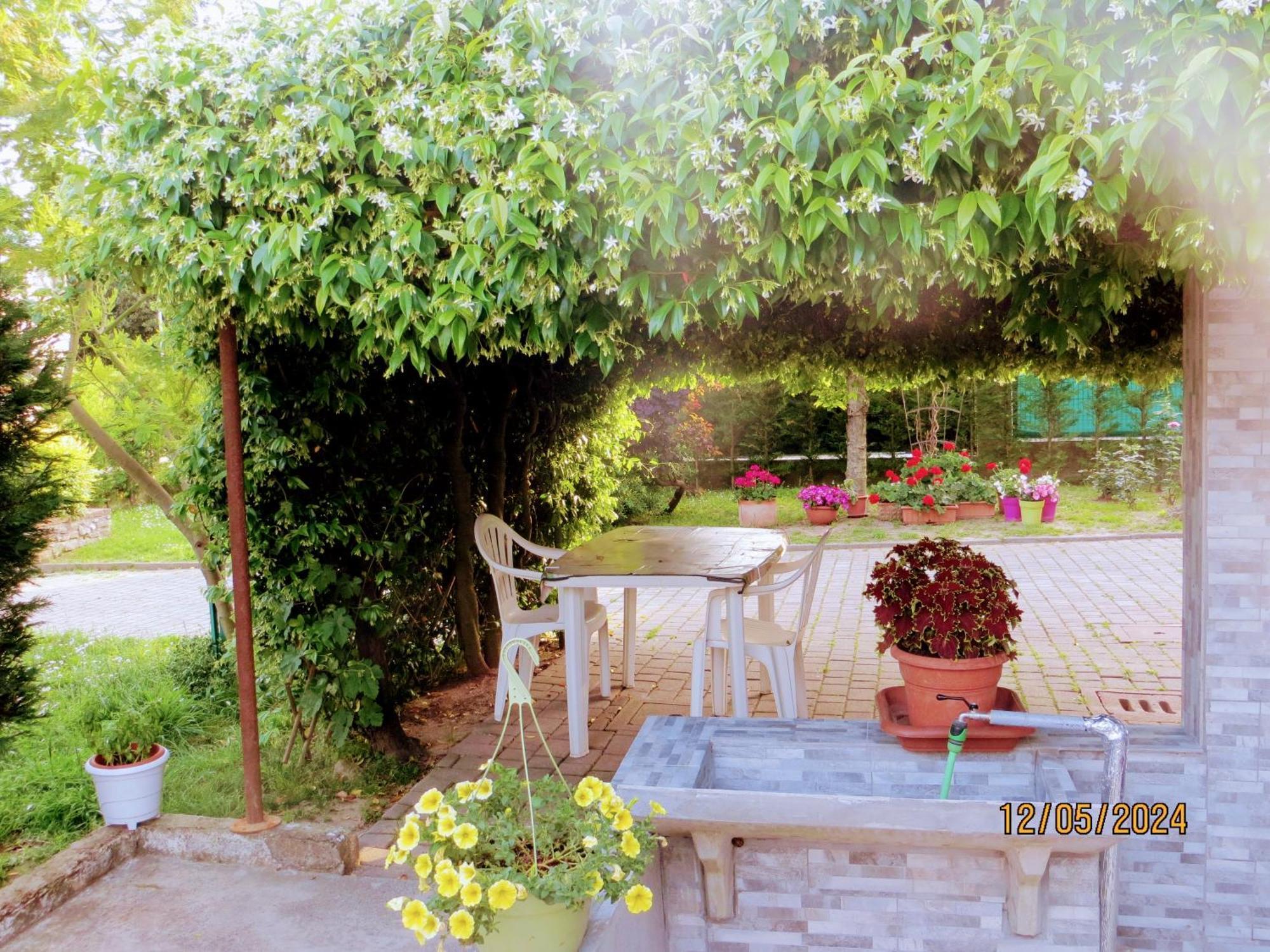 Bed and Breakfast 5 Palme Terzo d' Aquileia Exterior foto